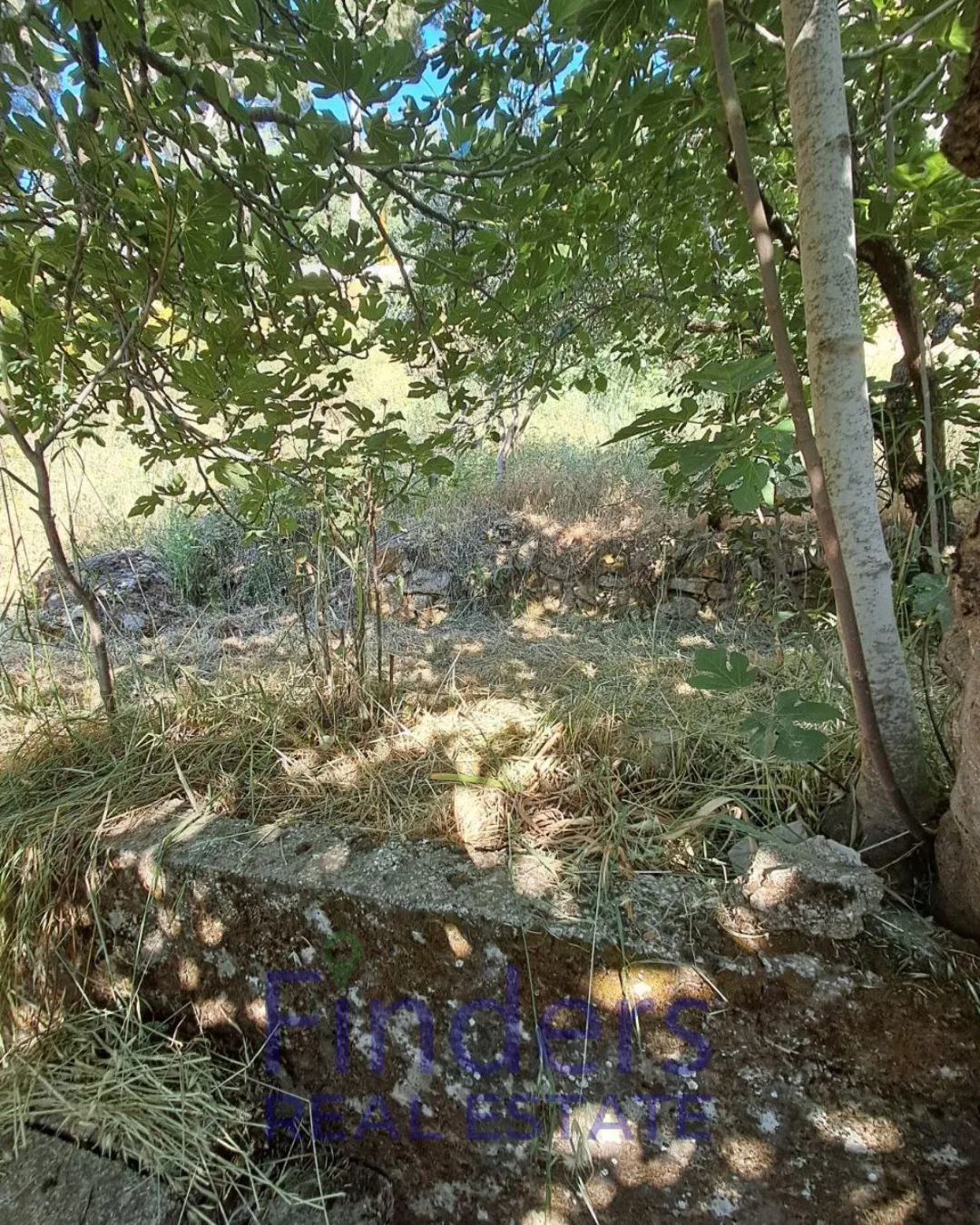 Villa for Sale in Shwayya!, photo 5