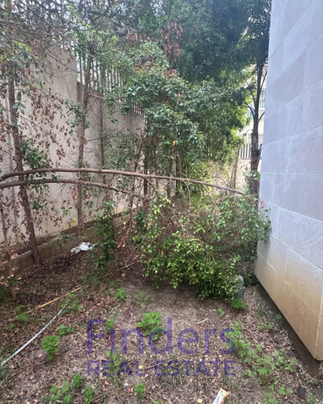 Apartment for rent in Monteverde!, photo 11