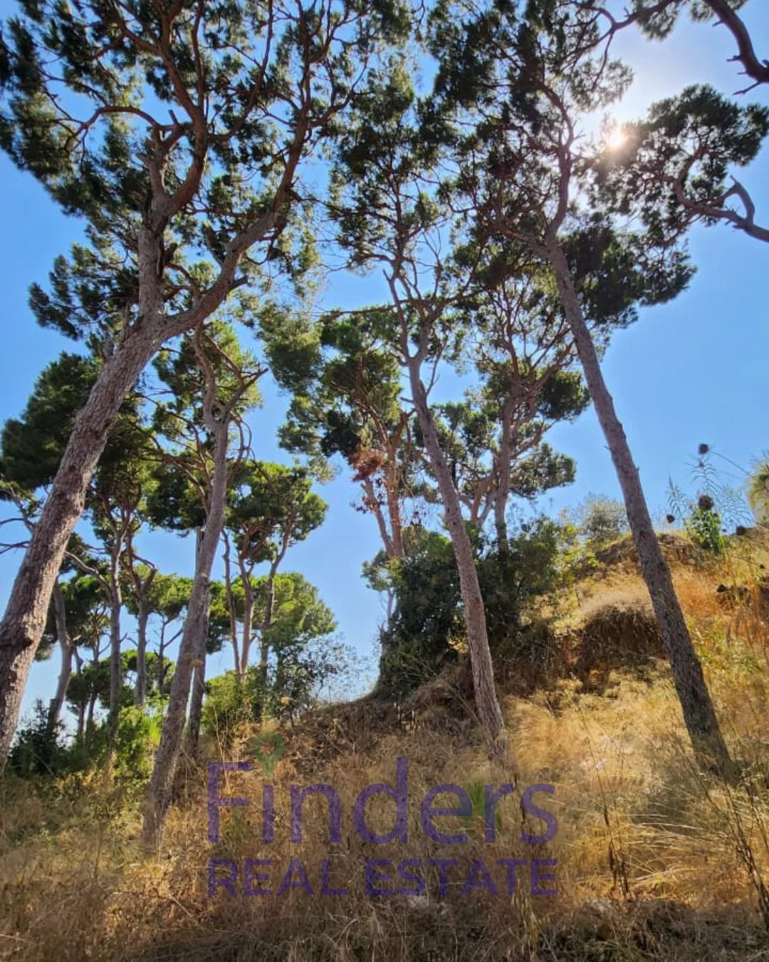 Land for sale in Nabay!, photo 2
