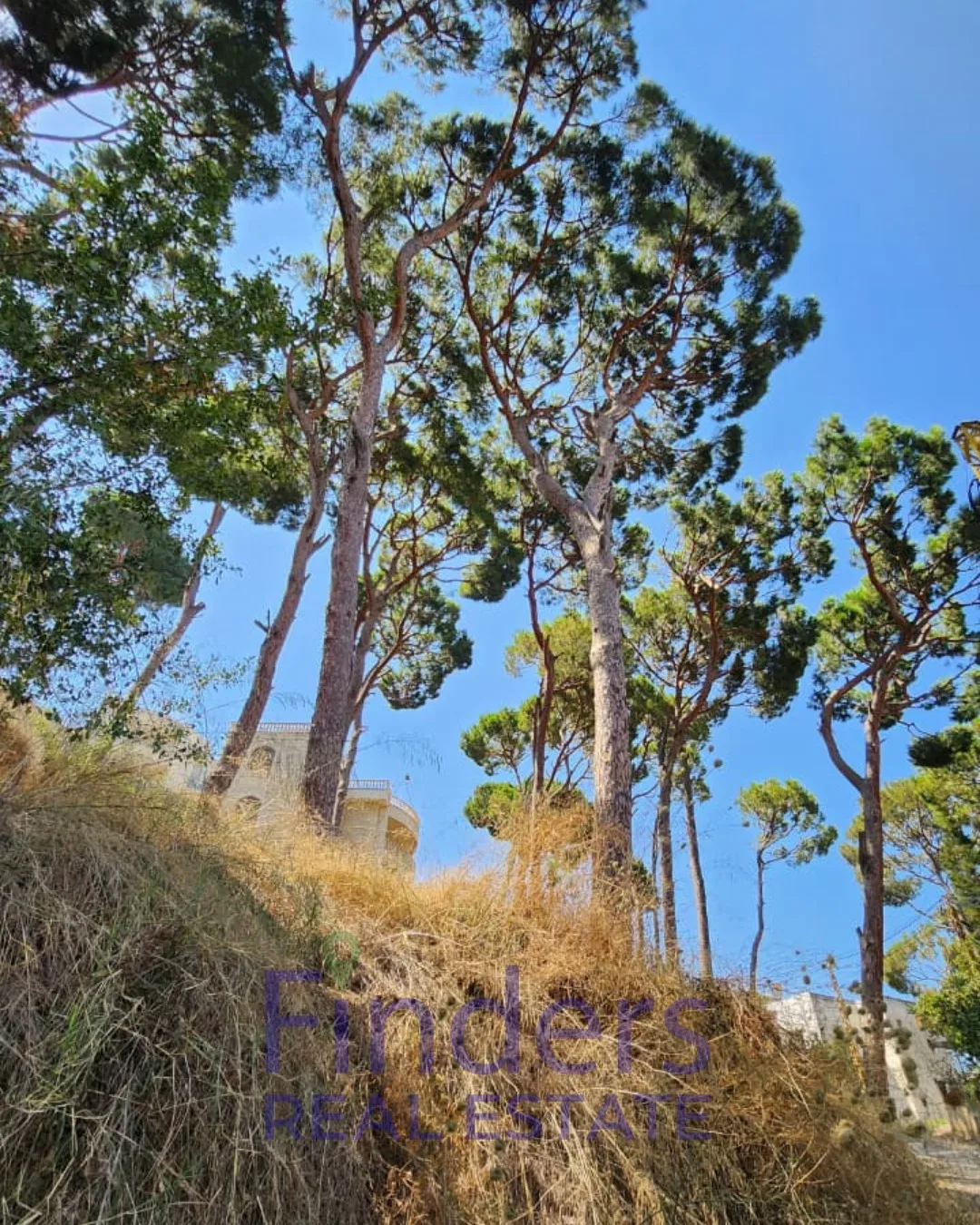 Land for sale in Nabay!, photo 3